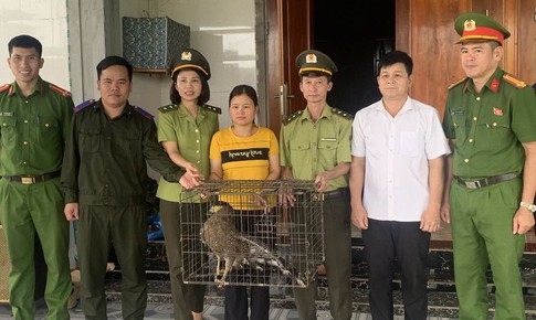 Người dân tự nguyện giao nộp 2 cá thể động vật quý hiếm