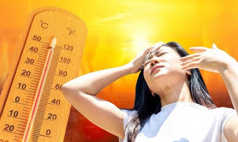 Giữ năng lượng tỉnh táo trong ngày nắng nóng: Khi cơ thể cần thích nghi thông minh