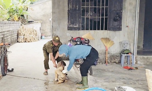 Cảnh giác bệnh dại tăng cao mùa nắng nóng