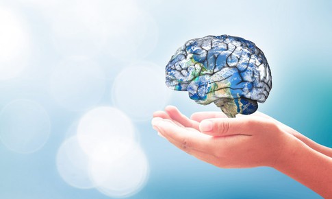 Điều gì xảy ra với não bộ nếu thường xuyên ăn cá 2 lần mỗi tuần?