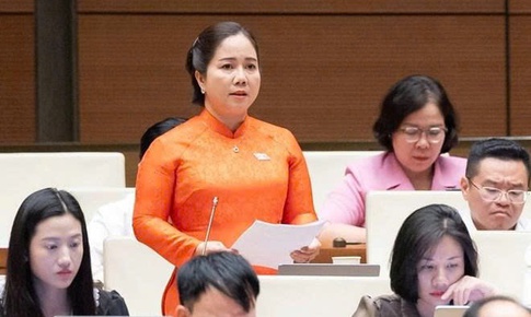 ĐBQH: Một lượng tài sản lớn trong dân vẫn nằm ngoài hệ thống tài chính