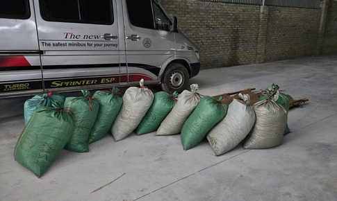 Buôn bán gần 900kg vảy tê tê cực kỳ quý hiếm, lĩnh án 8 năm tù