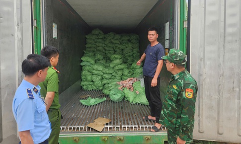 Khám 3 kho hàng vùng biên, phát hiện hơn 25 tấn chân lợn, cánh gà đông lạnh không rõ nguồn gốc