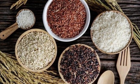 Gạo lứt, gạo đen hay gạo đỏ tốt nhất cho sức khỏe đường ruột và tim mạch?