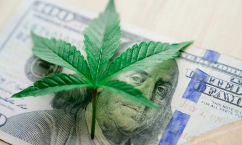 Bước ngoặt lịch sử trong chính sách kiểm soát cần sa tại Mỹ