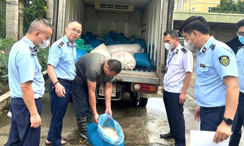 Hơn 1 tấn lòng lợn bốc mùi ôi thiu trong ô tô tải