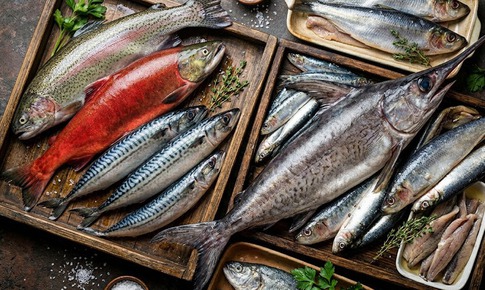 6 loại cá giàu vitamin D giúp xương chắc khỏe và tăng cường hệ miễn dịch