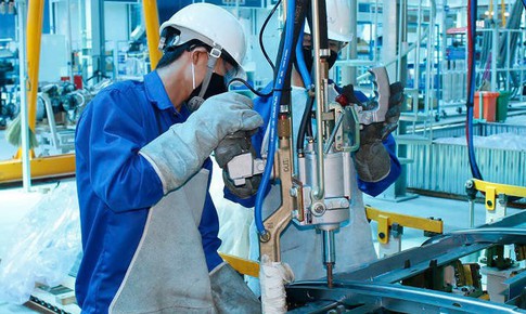 Nghỉ hưu trước tuổi được quy định thế nào?