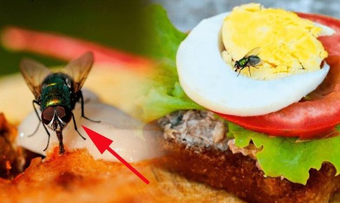 Cơ sở kinh doanh thực phẩm có ruồi, gián... có thể bị phạt đến 6 triệu đồng