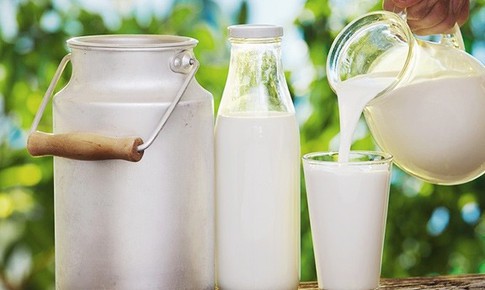 Thực phẩm giàu cholesterol dùng thế nào để phòng ngừa bệnh tim mạch và tốt cho sức khỏe