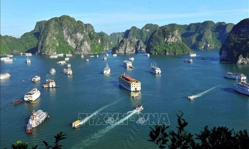 Thống nhất quy chế phối hợp quản lý tàu du lịch giữa vịnh Hạ Long và vịnh Lan Hạ