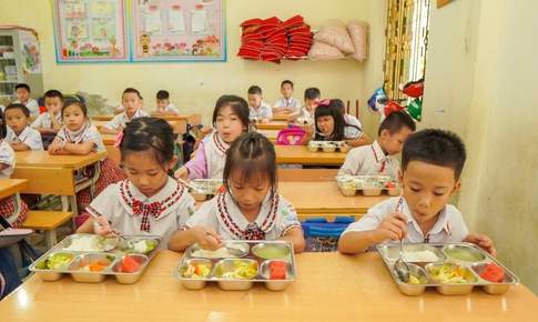 Chuyên gia đề xuất có tiêu chuẩn dinh dưỡng học đường thống nhất trên toàn quốc