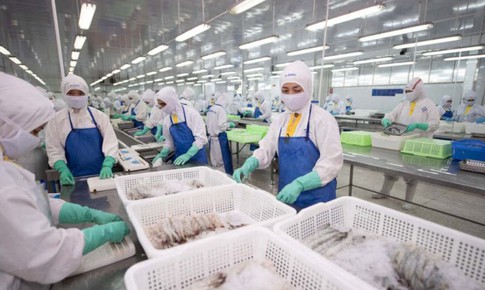 KBSV nhận định, tiềm năng tăng giá của cổ phiếu FMC có thể đạt 47%