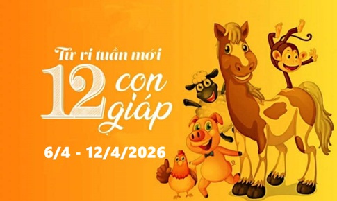 Tử vi tuần mới 12 con giáp từ 6/4 - 12/4: Hợi ổn định, Ngọ tài chính khởi sắc