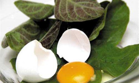 Cách dùng lá mơ lông giải độc cơ thể