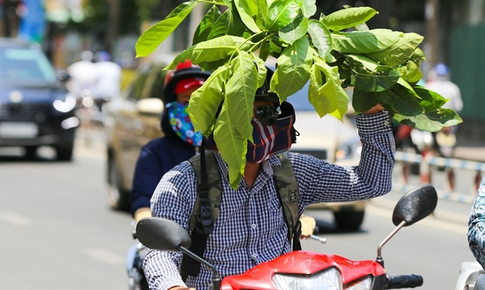 Nắng nóng gay gắt kéo dài, khuyến cáo các biện pháp bảo vệ sức khỏe