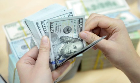 Tỷ giá USD hạ nhiệt