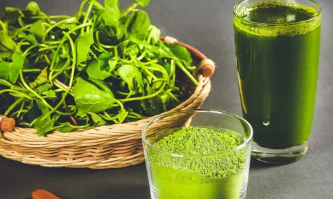 Một loại rau mọc dại, rất nhiều trong mùa hè, có tác dụng làm đẹp không ngờ