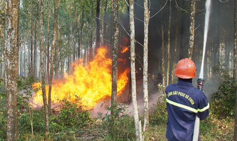 Ngày mai nắng nóng lan rộng ra toàn miền Bắc, cảnh báo nguy cơ cháy rừng
