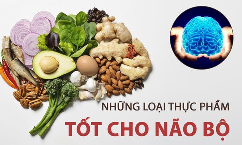 Các chất bổ sung cải thiện trí nhớ trong mùa thi: Hiểu đúng để dùng hiệu quả