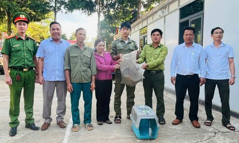 Phát hiện động vật quý hiếm trên rẫy, cả nhà mang nộp cho công an