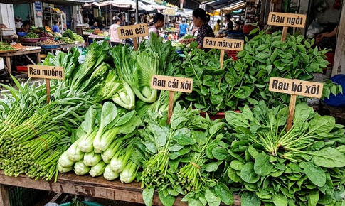 5 loại rau nên ăn trước bữa chính để giảm cân hiệu quả