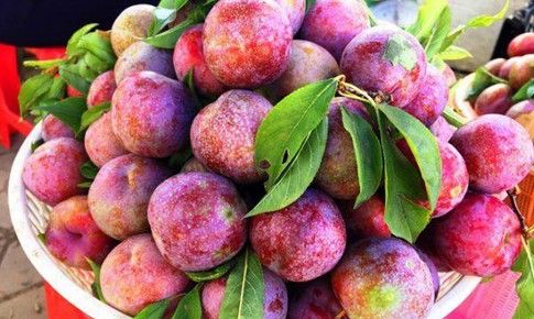 11 lợi ích sức khỏe của quả mận ít người biết