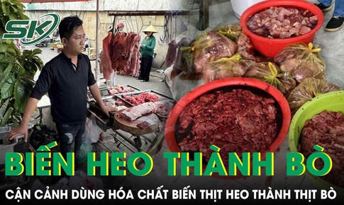 Cận cảnh quy trình dùng hóa chất 'biến' 65 tấn thịt heo thành thịt bò ở TP.HCM