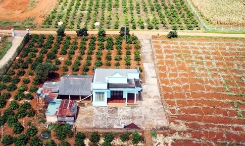 Thủ tục chuyển đất trồng cây lâu năm sang đất ở theo quy định mới