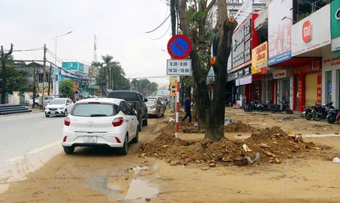 Đề nghị truy tố vắng mặt Chủ tịch công ty cây xanh Công Minh