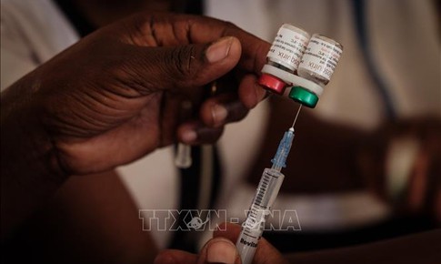 Australia phát triển thành công vaccine sốt rét thế hệ mới không cần bảo quản lạnh