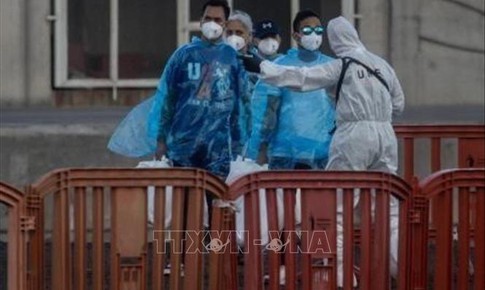 Virus Hanta: EU tăng cường chia sẻ thông tin nhằm nâng cao hiệu quả ứng phó