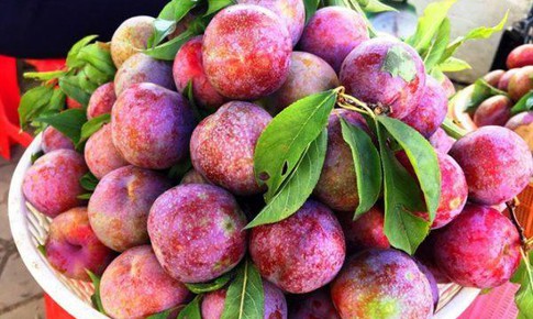 Lý do quả mận là 'siêu thực phẩm' tốt cho da và tóc