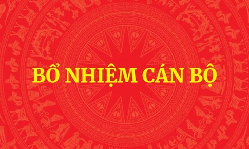 Điều động, bổ nhiệm Trợ lý Thủ tướng và Trợ lý Phó Thủ tướng Thường trực Chính phủ