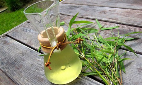 Bài thuốc chữa bệnh từ lá tre