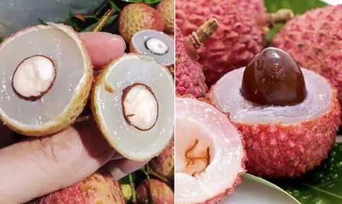 Ăn nhiều nhãn, vải thiều có gây mụn nhọt, hại cho da không?