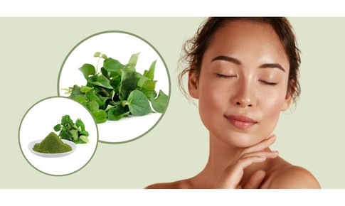 Rau má có hỗ trợ trị mụn trứng cá không?