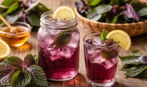 4 nhóm người không nên uống nước lá tía tô hàng ngày