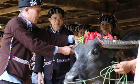 Nghi lễ tri ân 'ông trâu' của đồng bào Lự
