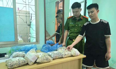 Sử dụng chất cấm sản xuất 2 tấn giá đỗ