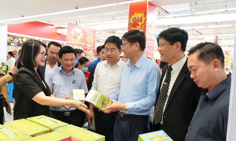 Nghệ An lập tổ liên ngành chống xâm phạm quyền sở hữu trí tuệ