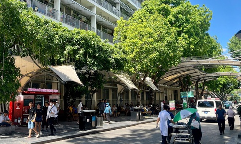 Những khoảng mát giữa bệnh viện ngày nắng nóng