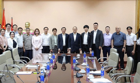 Thứ trưởng Nguyễn Tri Thức tiếp, làm việc với Chủ tịch Tập đoàn SunWah cùng các doanh nghiệp Trung Quốc