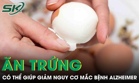 Ăn trứng thường xuyên có thể giúp giảm nguy cơ mắc bệnh Alzheimer