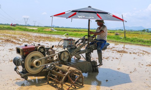 Chủ động phòng tránh say nắng, sốc nhiệt mùa nắng nóng