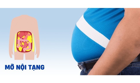 Dư thừa mỡ nội tạng gây nên những bệnh gì?
