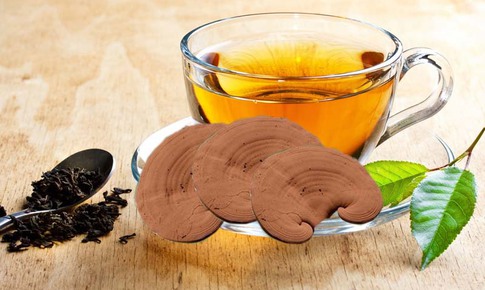 Mùa hè có nên uống trà nấm linh chi hằng ngày?
