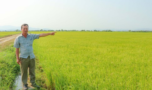 Kỳ lạ: Khu đất ở làng gốm Chăm Bàu Trúc múc lên rồi lại tự đầy