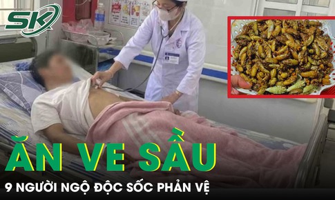 Ăn ve sầu, 9 người bị ngộ độc sốc phản vệ