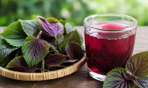 Cách uống nước lá tía tô giúp giảm cân, trắng da, ngừa mụn